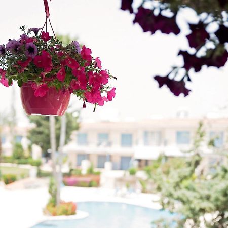 Holiday Apartment Walking Distance To The Sea بافوس المظهر الخارجي الصورة