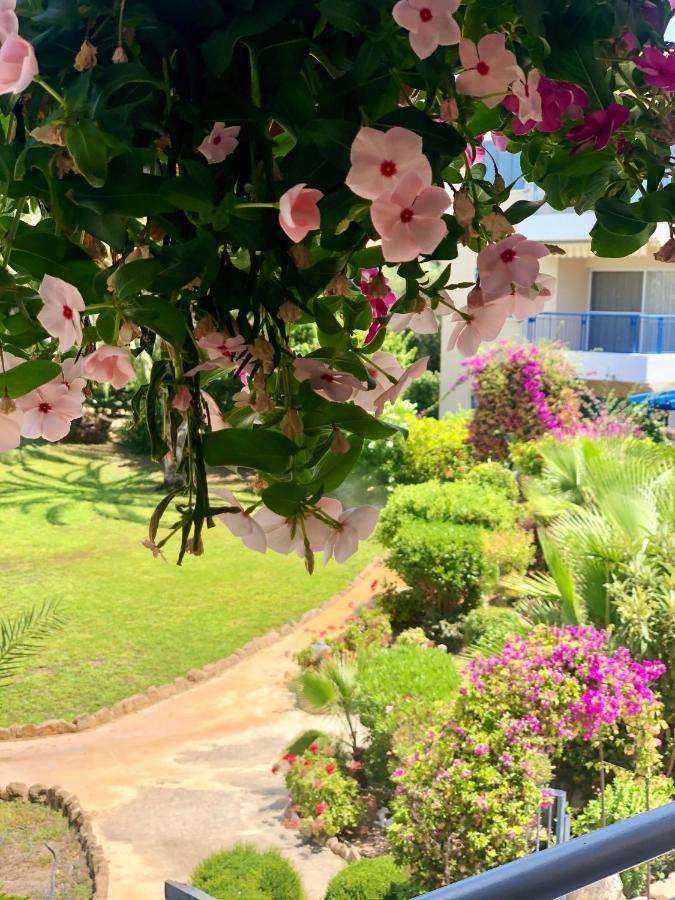 Holiday Apartment Walking Distance To The Sea بافوس المظهر الخارجي الصورة