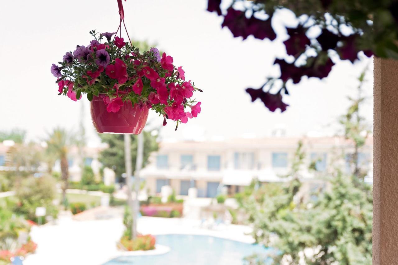 Holiday Apartment Walking Distance To The Sea بافوس المظهر الخارجي الصورة